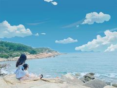 -广东惠东海龟国家级自然保护区