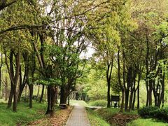 -蜀冈西峰生态公园