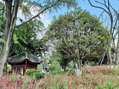 -成都市文化公园