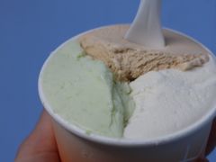 -Dip in Gelato(富民路店)