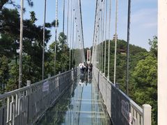 -石燕湖生态旅游景区