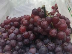 -百果园(领馆国际城店)