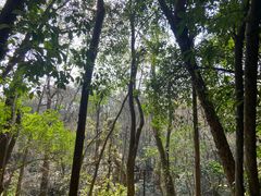 -杭州半山国家森林公园