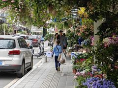 -溪岸路花鸟市场