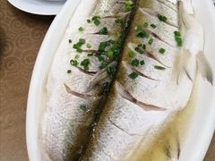 清蒸白鱼-陶家堡·多意食餐饮(益健路店)