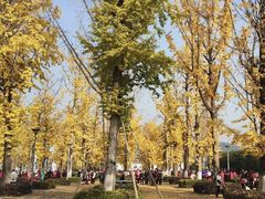 -两江幸福广场