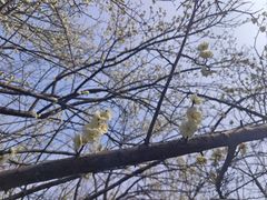 -开福禅寺