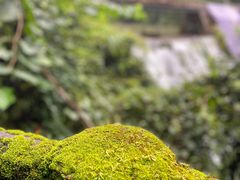 -溪口-滕头旅游景区