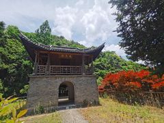 -四明山国家森林公园