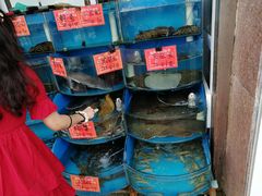 -北戴河庆山饭店·海鲜砂锅粥(北戴河黑石路店)