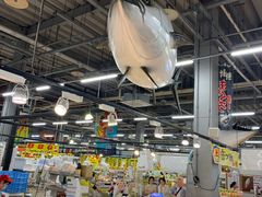 -海鮮寿司とれとれ市場