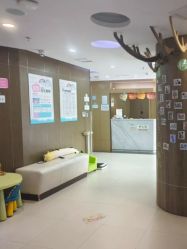 点击看大图 -睿宝儿科·眼科·口腔(杨浦新江湾城店)