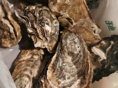 -蚝堡海鲜·威海菜·海肠捞饭·烧烤·亚洲吃蚝公司(幸福门店)