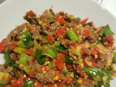 泡辣椒牛肉-壹盏灯(惠农店)