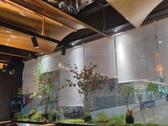 -吉庆莲年有鱼炭烤鱼(苏宁广场店)