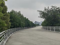 -南京眼步行桥