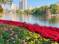 -荔湾湖公园