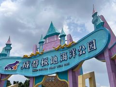 -海合安成都极地海洋公园
