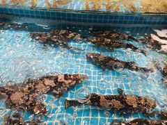 -新阿布海鲜大酒店