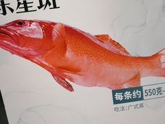-丰收日(五角场店)