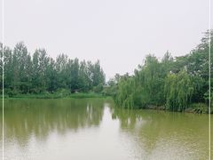 -白鹭湾湿地公园