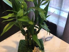 -王宝和酒家(黄浦店)