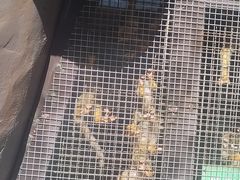 -泉州海丝野生动物世界