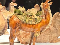 -陕西历史博物馆