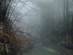 -藏龙百瀑风景区