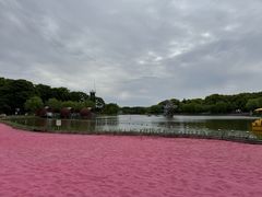 -上海鲜花港