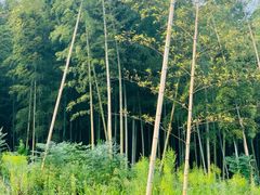 -南北湖风景区
