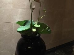 -常州环球恐龙城维景国际大酒店