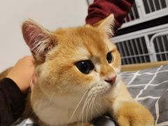 -宁波野生动物园