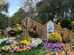 -上海共青森林公园