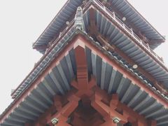 -宝鸡植物园