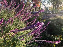 -狼山风景名胜区