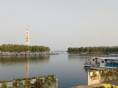 -白洋淀景区