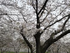-苏州上方山国家森林公园