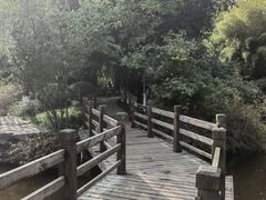 -龙头寺公园