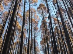 -山王坪喀斯特国家生态公园