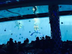 景观位-瑞德姆美人鱼海底演艺主题餐厅(亚龙湾店)