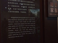 iphone_upload_pic-金沙遗址博物馆
