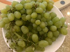 -新粤新疆菜(禅城店)