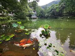 -杭州花家山庄