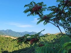 -蟠龙山长城景区