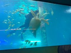 -洛阳龙门海洋馆