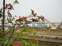 -喜洲吧·江畔老船厂·庭院餐厅(喜临院店)