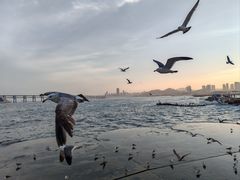 -星海广场