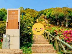 -梧桐山风景名胜区