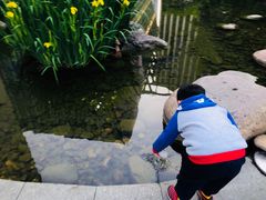 -活水公园